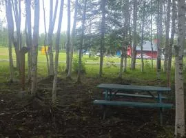 Houston Grass Station Campsite #44