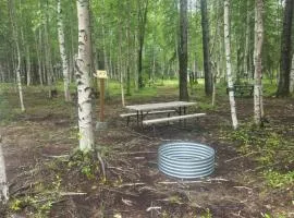 Houston Grass Station Campsite #47