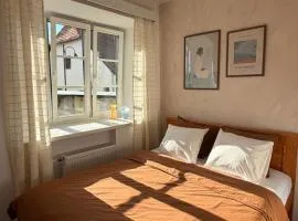 V srdci Telče - Apartmán