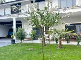 Senje Sky Inn