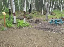 Houston Grass Station Campsite #49