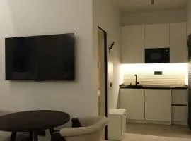 Knez Mihailova apartment, City center