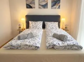 Basel Haven101 Modern Home Free Parking Wifi
