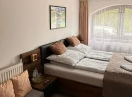 Apartamenty Lejówka