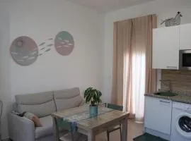 Estudio Puerto Isla