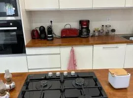 Alto saton airport Guest house