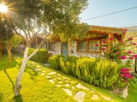 Kaş Joy Glamping