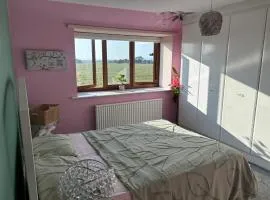 Batty lodge