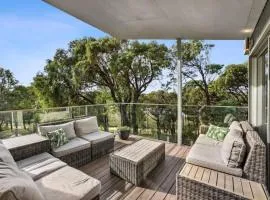 Coastal Tree Top Views