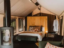 Wandagar Eco Tent - Carnaby