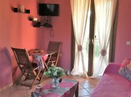 The Olive Tree House