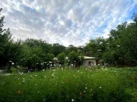 Nur Homestay in Nurata Mountains Tours,mountain hiking and horseback and Transport services
