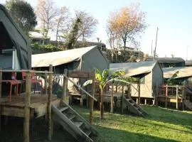 Safari Glamping Rhino