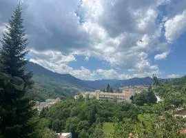 Panorama Guest House