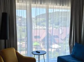 Biała Perła Apartament Czarna Góra 309