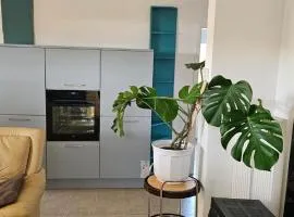 Oasis Place, Green Corner