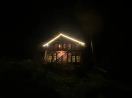 Aradya eco resort
