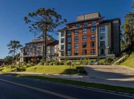 Golden Tulip Canela OFICIAL