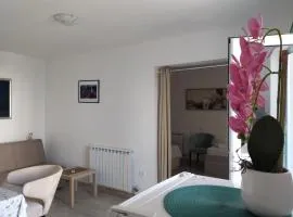 Ilic apartment