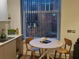 Convienent One bed Room Flat off West Street Sheffield