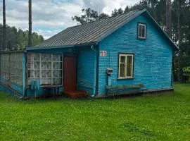 Vasaras mājiņa pie Rāznas ezera Nr 11
