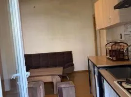 Nikola apartment ambrolauri