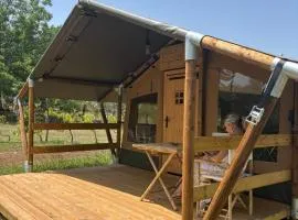 Vulture Glamping