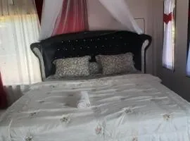 Nangin View HOTEL Orang utan tour & trekking