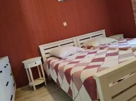 9 Plus - Orbeli