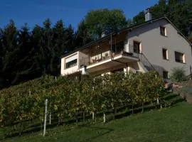 CasaVitis "Erholung am Weinberg"