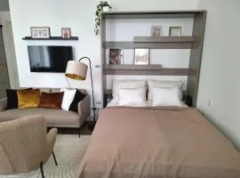 Elegant apartment in the heart of Olomouc