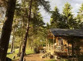 Pinetree Lodge, Cotswolds