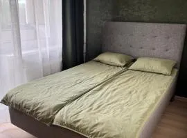 Taagepera Guest Apartment