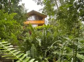 Mud and Wooden Cabin