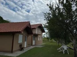 Vikendica Ptič