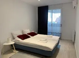 Apartment Palmetta