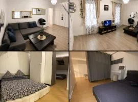 Duplex cosy 3 minute gare du raincy