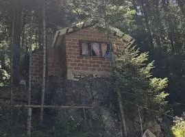Pisicula rancho buna vista