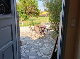 Seaside olive grove