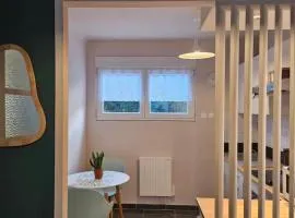 Appartement spacieux