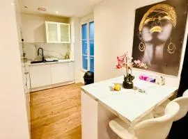 Duplex of Gonesse