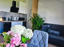 Apartament Kwiatowy Busko,nowy,parking,lux,kawa,woda,kwiaty