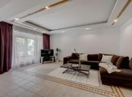 Cozy Apartment Floreasca Park