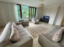 Komilo Homes, Çamlıhemşin