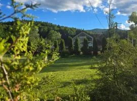 Pension Pîrîu' Morii