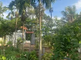The Vyc Home