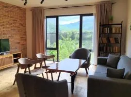 Nazani, 2 BR entire home , designed by Khi