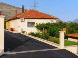 Old house Dunja