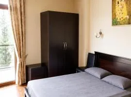 Penthouse in Bakuriani
