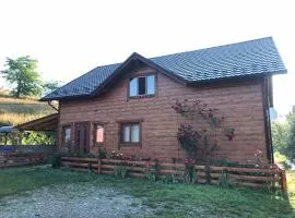 Карпатська перлина